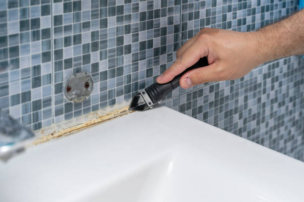 Office Mold Removal Services in Newport, AR